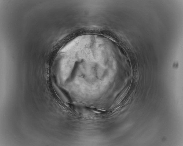 X0000090891301200708171657