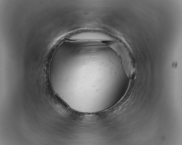 X0000090891304200708171657