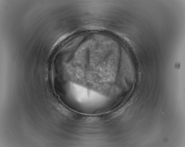 X0000090891306200708171657