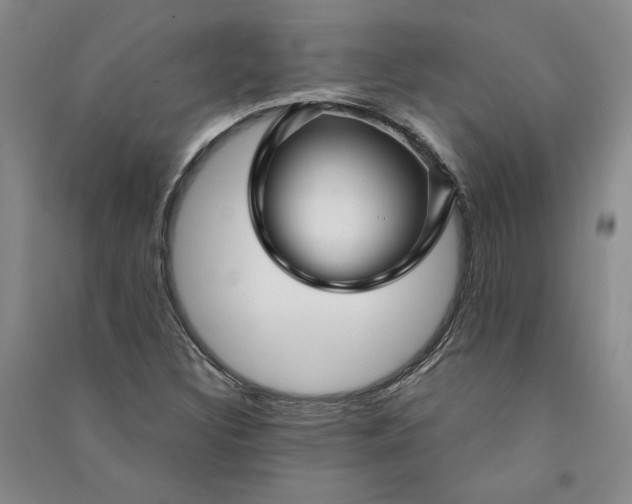 X0000090891308200708171657