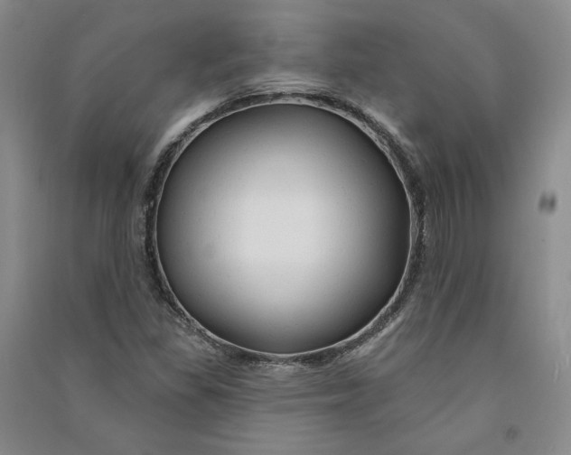 X0000090891309200708171657