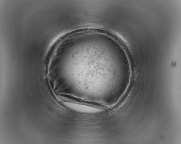 X0000090891310200708171657