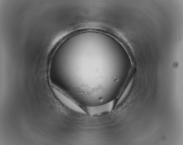 X0000090891312200708171657