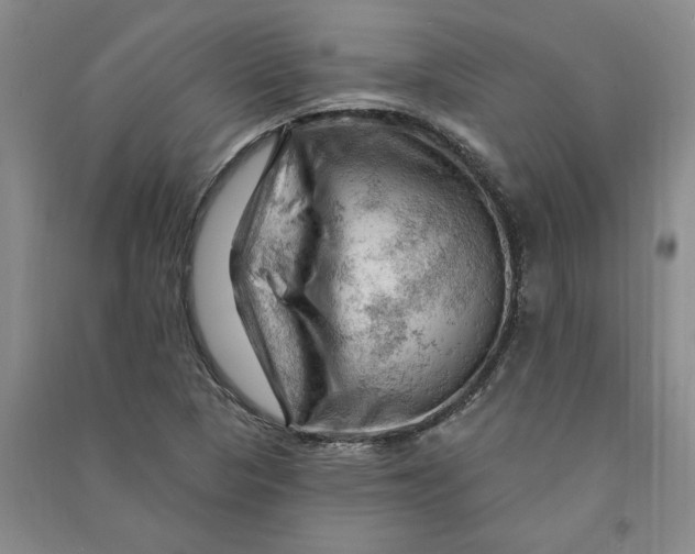 X0000090891313200708171657