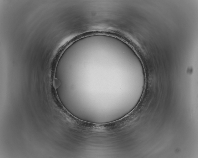 X0000090891315200708171657