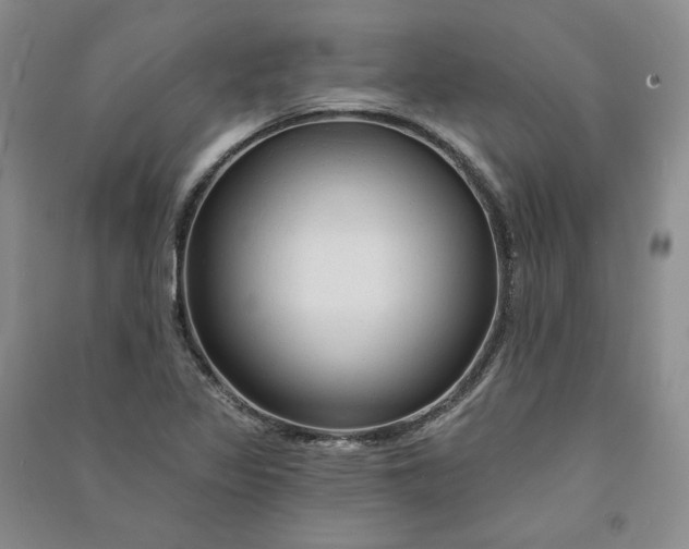 X0000090891317200708171658