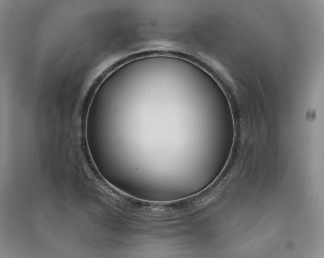 X0000090891318200708171658