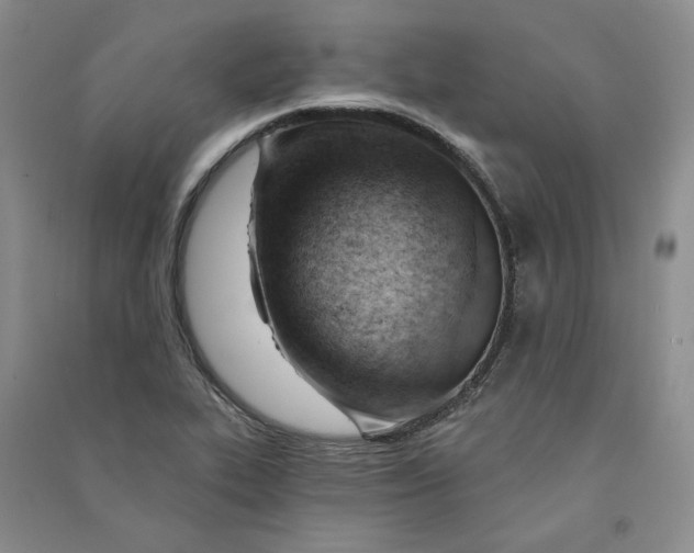 X0000090891319200708171658