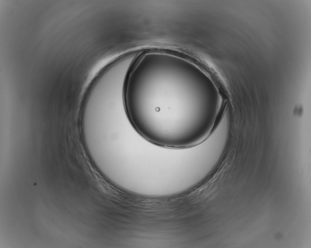 X0000090891320200708171658