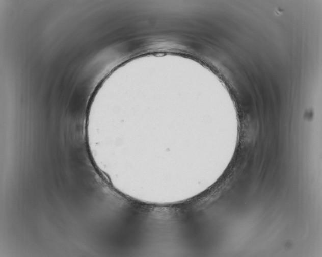 X0000090891322200708171658