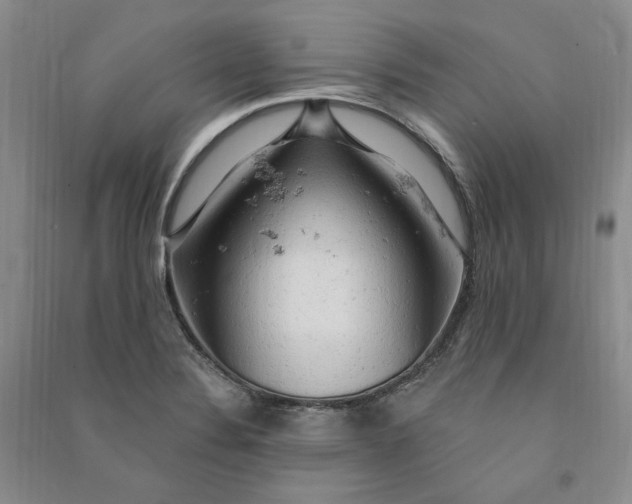 X0000090891324200708171658