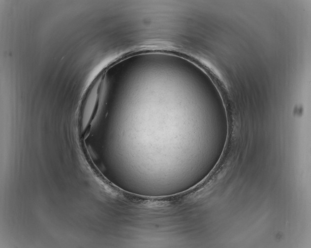 X0000090891325200708171658