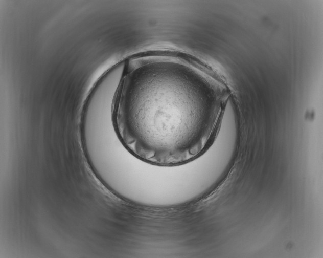 X0000090891326200708171658