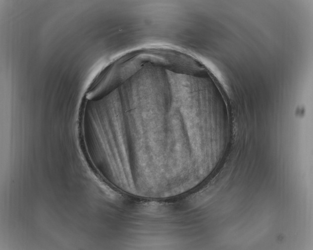 X0000090891327200708171658