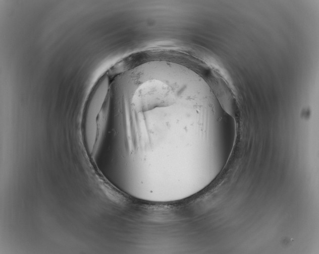 X0000090891328200708171658