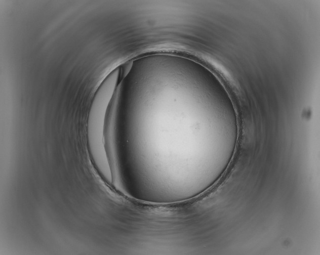 X0000090891329200708171658