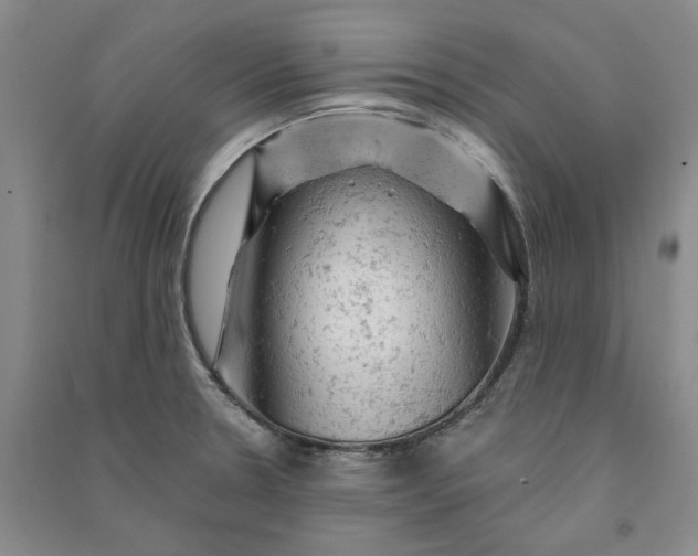 X0000090891330200708171658