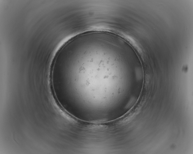 X0000090891331200708171658