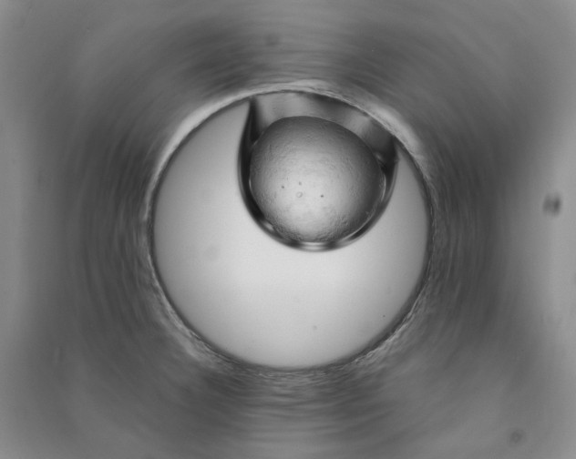 X0000090891332200708171658