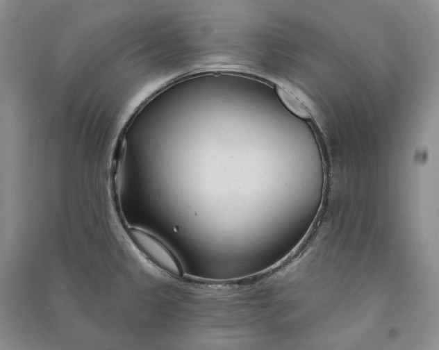 X0000090891333200708171658