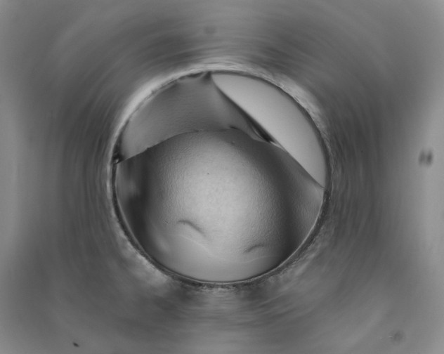 X0000090891334200708171658