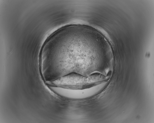 X0000090891335200708171658