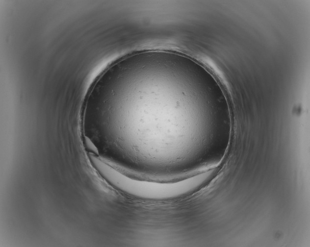 X0000090891336200708171658