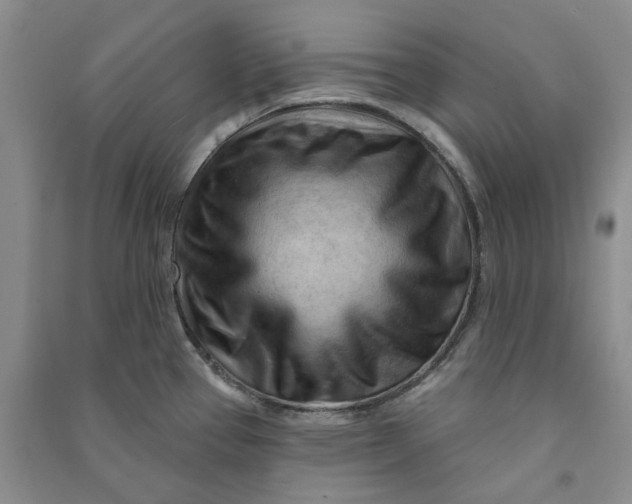 X0000090891337200708171658