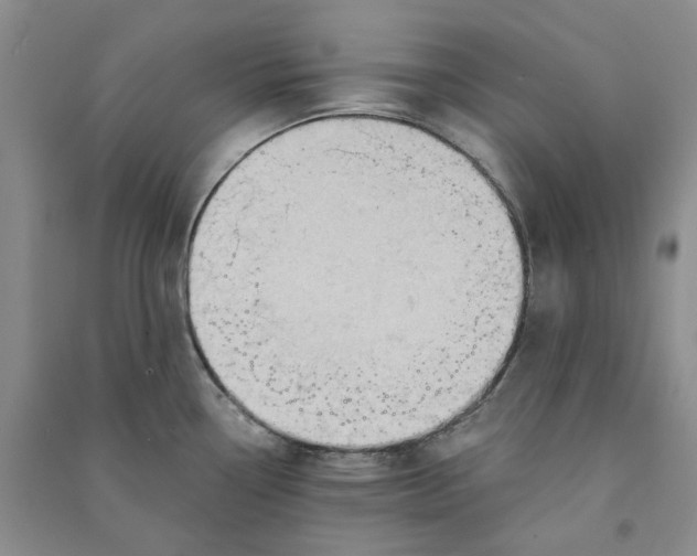 X0000090891338200708171658