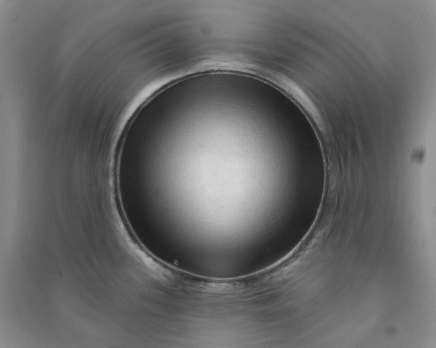 X0000090891339200708171658