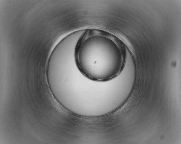 X0000090891340200708171658