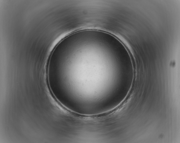 X0000090891341200708171658