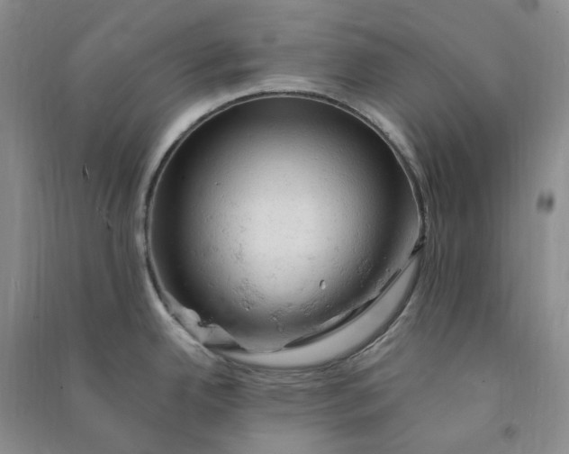 X0000090891342200708171658