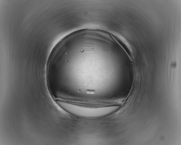 X0000090891343200708171658