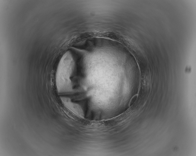 X0000090891346200708171657