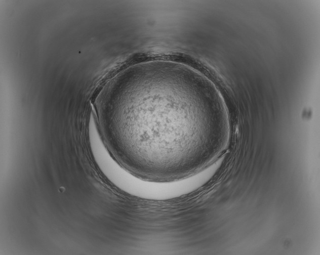 X0000090891348200708171657