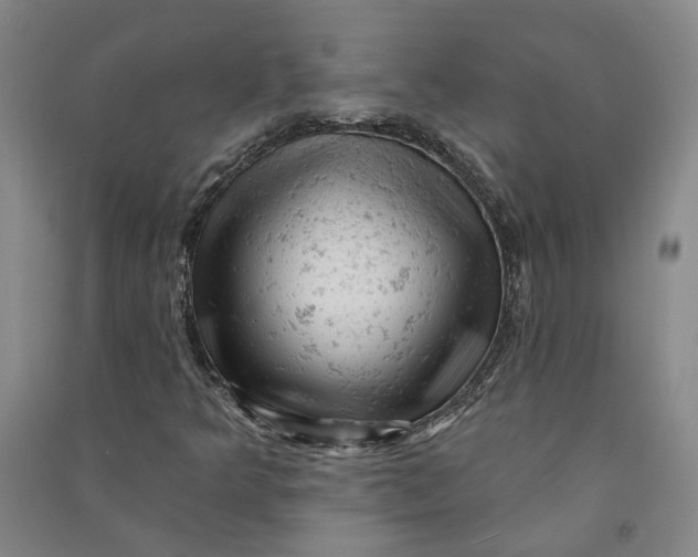 X0000090891349200708171657