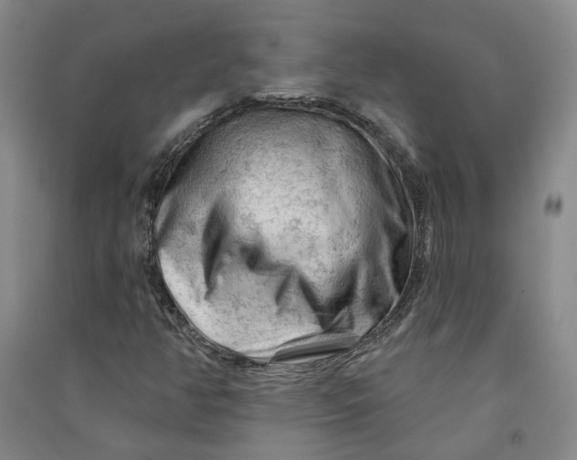 X0000090891350200708171657