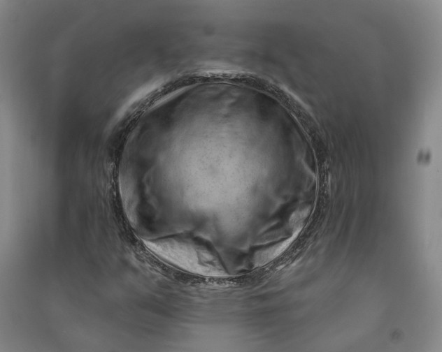 X0000090891351200708171657