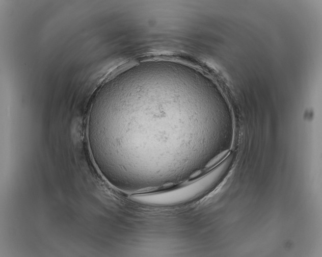 X0000090891353200708171657