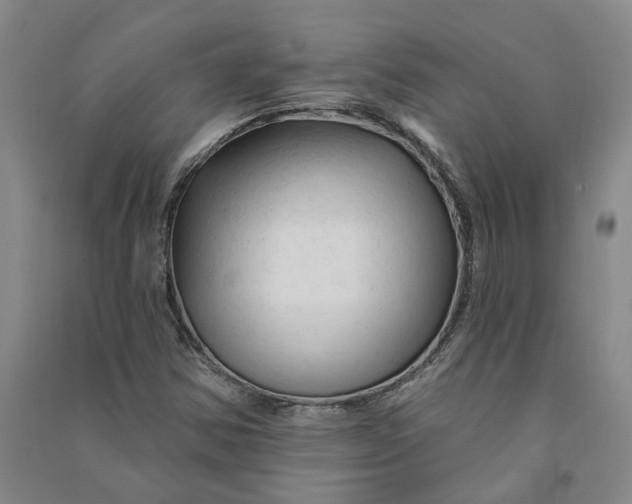 X0000090891354200708171657