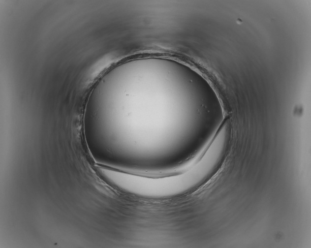 X0000090891355200708171657