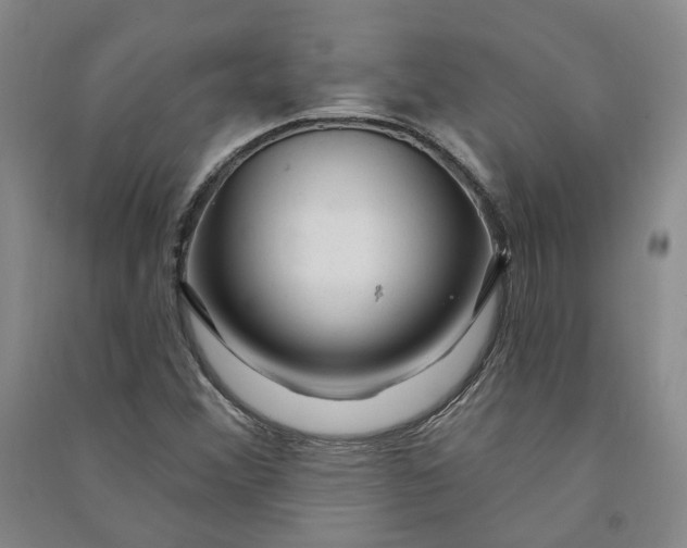 X0000090891356200708171657