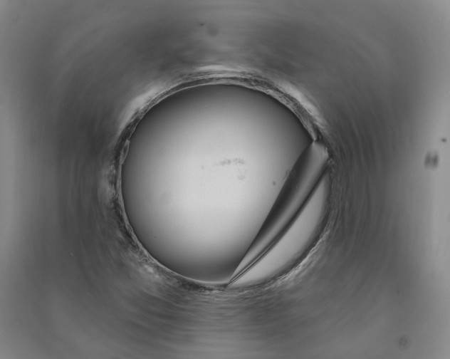 X0000090891357200708171657