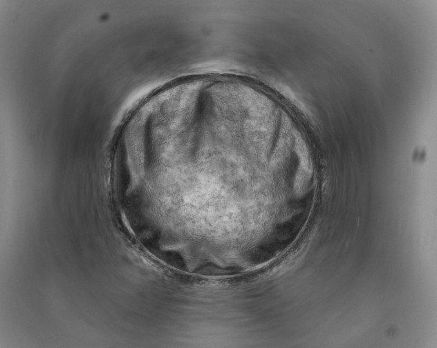 X0000090891358200708171657