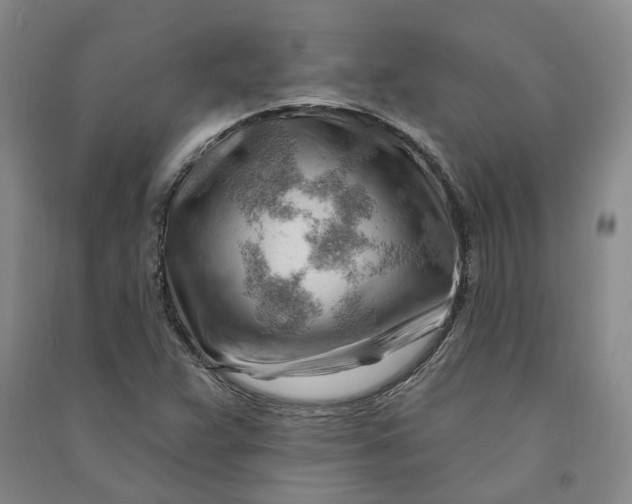 X0000090891359200708171657