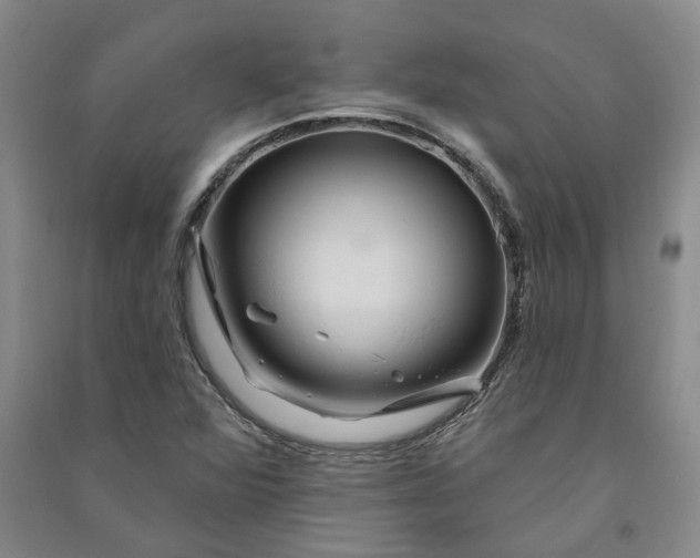 X0000090891360200708171657