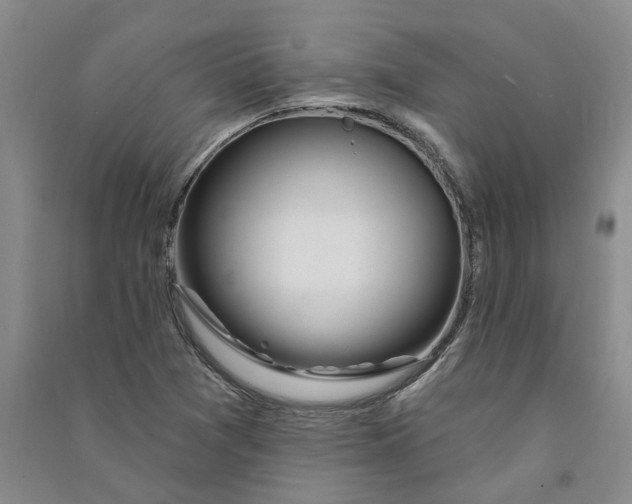 X0000090891361200708171657