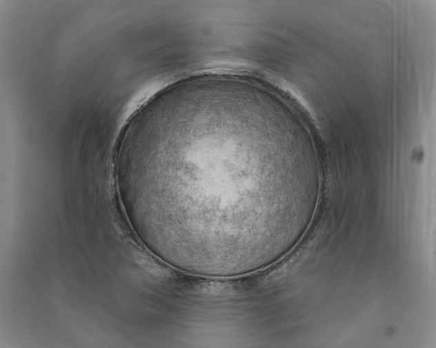 X0000090891362200708171657