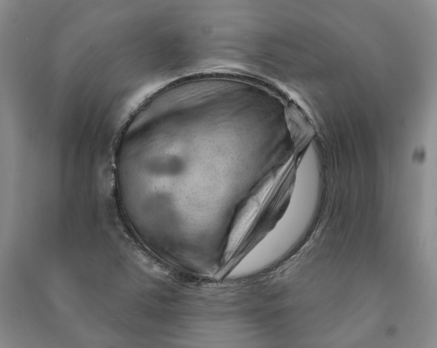 X0000090891363200708171657